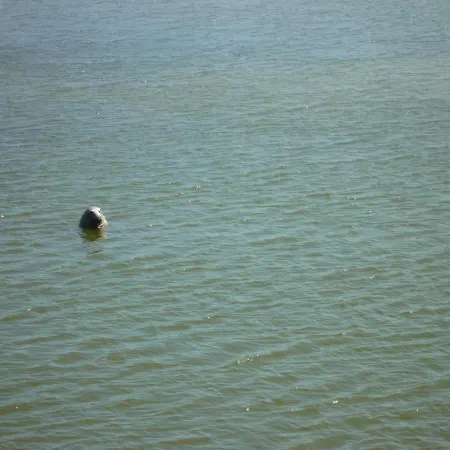 Zum Alten Seemann Апартаменты *